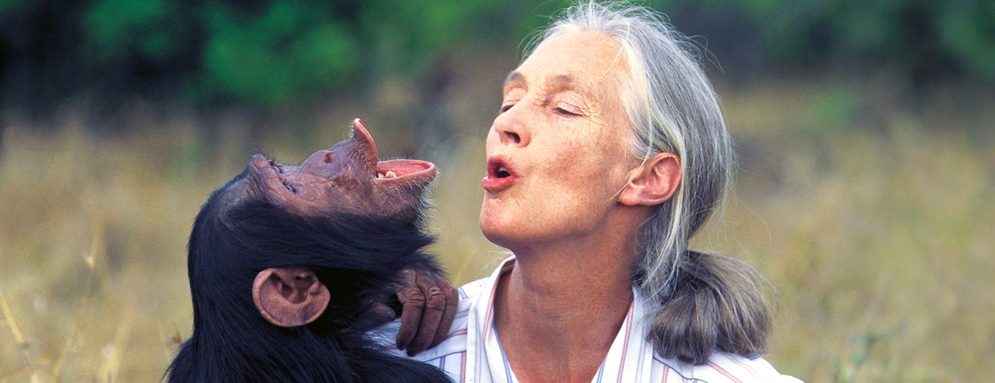 Jane Goodall: Život za čimpanze 